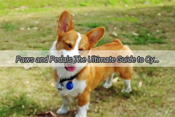 Paws and Pedals The Ultimate Guide to Cycling with Your Furry Friend